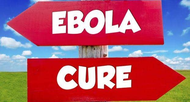 ebola virus