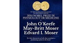 Three British scientists win Nobel prize for discovering how brain navigates