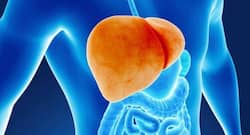 Which of these 10 liver disease causing factors are you aware of?
