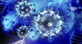 First case of MERS confirmed in Qatar