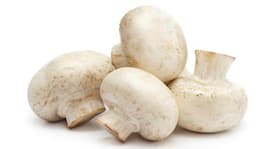 Magic mushrooms found in Queen Elizabeth's Garden!