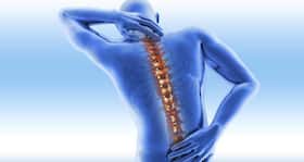World Osteoporosis Day 2014: Himalaya conducts check-up camp to raise awareness