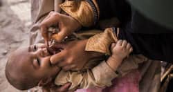WHO says that Pakistan is responsible for nearly 80% of reported polio cases