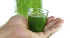 Why pregnant women should avoid having wheatgrass juice