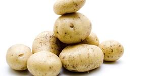 How many calories do potatoes and their dishes have?