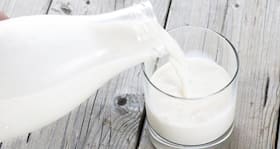 Revealed -- number of calories in different types of milk