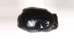 Shilajit For Skincare: How Does This Natural Ingredient Improve Skin Health?