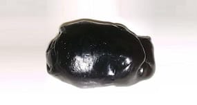 Shilajit For Skincare: How Does This Natural Ingredient Improve Skin Health?