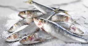 Mercury in seafood can cause autoimmune disorders in pregnant women