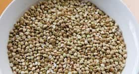 Health benefits of buckwheat you surely didn't know