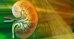 New study says chronic kidney disease can cause diabetes