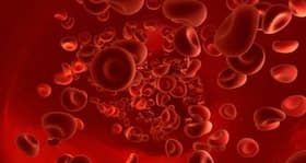 Synthetic platelets could change the way medicines work and save lives Synthetic platelets could change the way medicines work and save lives
