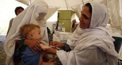 Polio in Pakistan: 4 more cases detected, total reaches 235