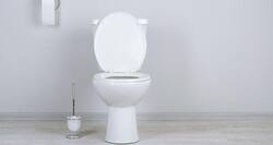 TCS to launch sanitation facilities for girls in 1,100 schools