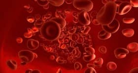 Did you know? Oxygen levels on earth fluctuated several times