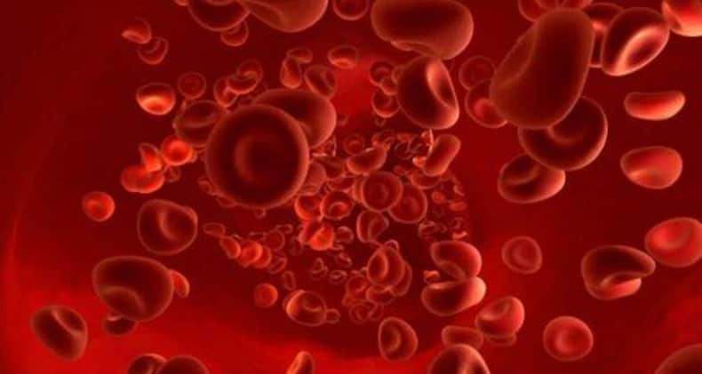 thehealthsite.com top news