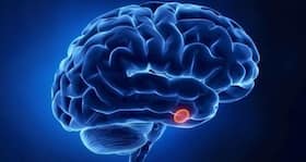 3D technology can help reprogramming stem cells into neurons