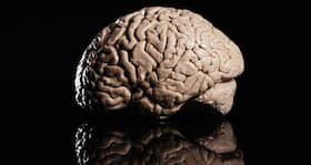Brain zapping capable of decreasing psychiatric symptoms, here's how