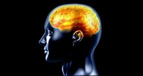 Brain dead man saves three precious lives