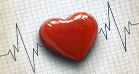 Go pro-vegetarian to prevent heart disease at bay!