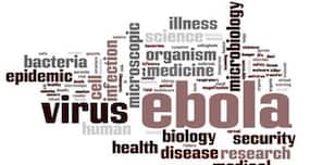 'Nipah virus identified in Kozhikode fever deaths'