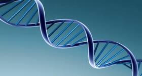 Developed -- a novel gene therapy to lower the risk of cancer!