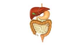 Read this before undergoing faecal transplants