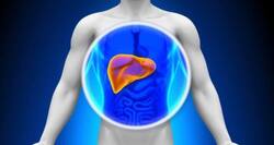 Beware! Common antibacterial in soaps, shampoos may damage liver