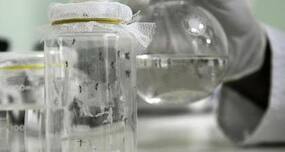 Dengue outbreak showed government failure on health, sanitation fronts
