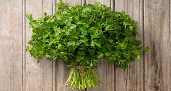 Top 5 Health Benefits Of Parsley Thehealthsite Com