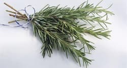 Study says sniffing rosemary oil can improve memory of elderly people