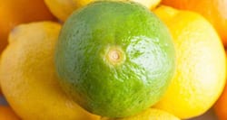 Scurvy -- causes, symptoms and treatment
