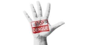 Dengue in India: Latest News (Live Blog)
