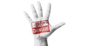 Delhi Dengue Update: Total number of cases rises to 409