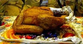Thanksgiving Special: How turkeys can save your life