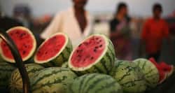 कैंसर और मधुमेह के इलाज में जंगली कड़वे फल हो सकते हैं सहायक