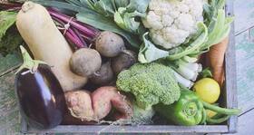 Yogic principles of healthy eating