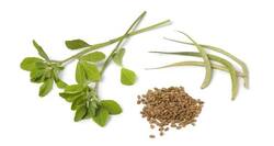 Try these 7 Indian methi or fenugreek recipes