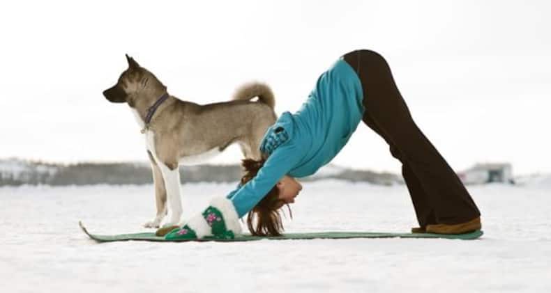 Would you try these 6 fun and weird types of yoga?