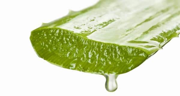 10 Uses Of Aloe Vera Gel For Better Health And Beauty