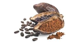 These health benefits of cocoa will amaze you