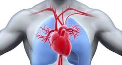 Being too clean can make you sick!