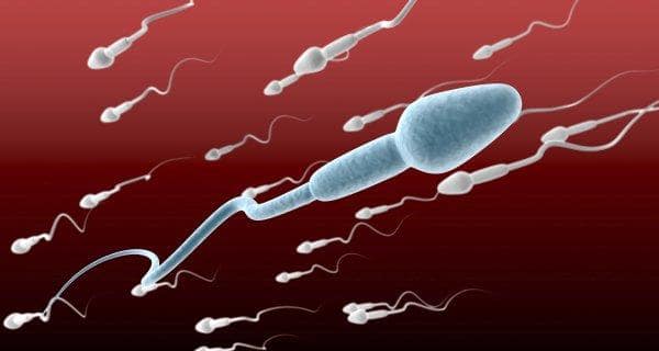 9 Interesting Facts About Sperms You Didn T Know