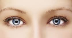 Here's how we see one image with two eyes