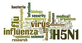 Bird flu scare in Chandigarh after duck sample tests positive