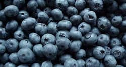 Eat blueberries to fight age, improve vision and memory