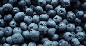 Wild blueberries reduce adverse effects of high-fat diet