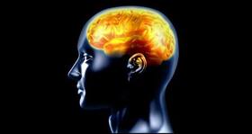 Health IQ: A quiz app to increase your knowledge about health Health IQ: A quiz app to increase your knowledge about health