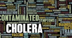 Cholera's evolution can now be traced from an ancient graveyard in Italy