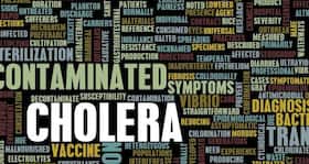 Want to tackle cholera? Go au naturel